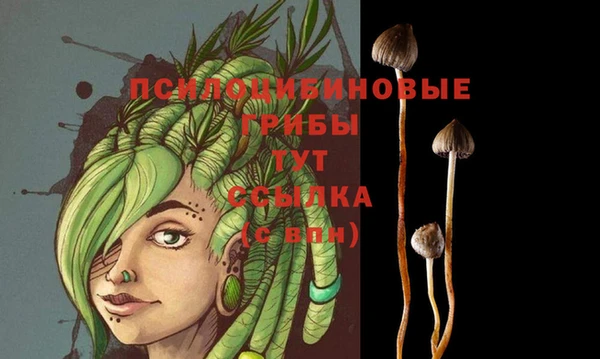 PSILOCYBIN Алексеевка